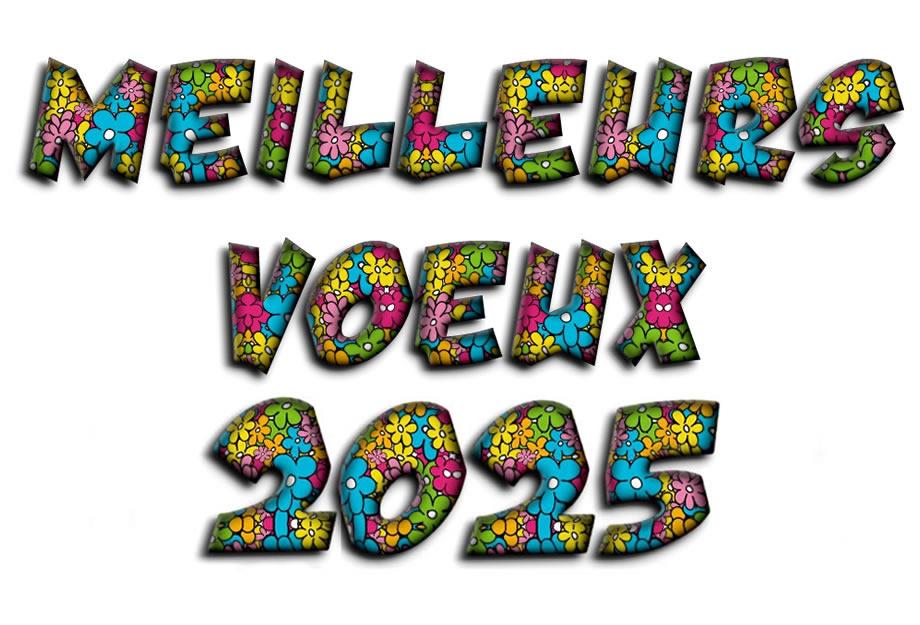 Image meilleurs voeux fleurs